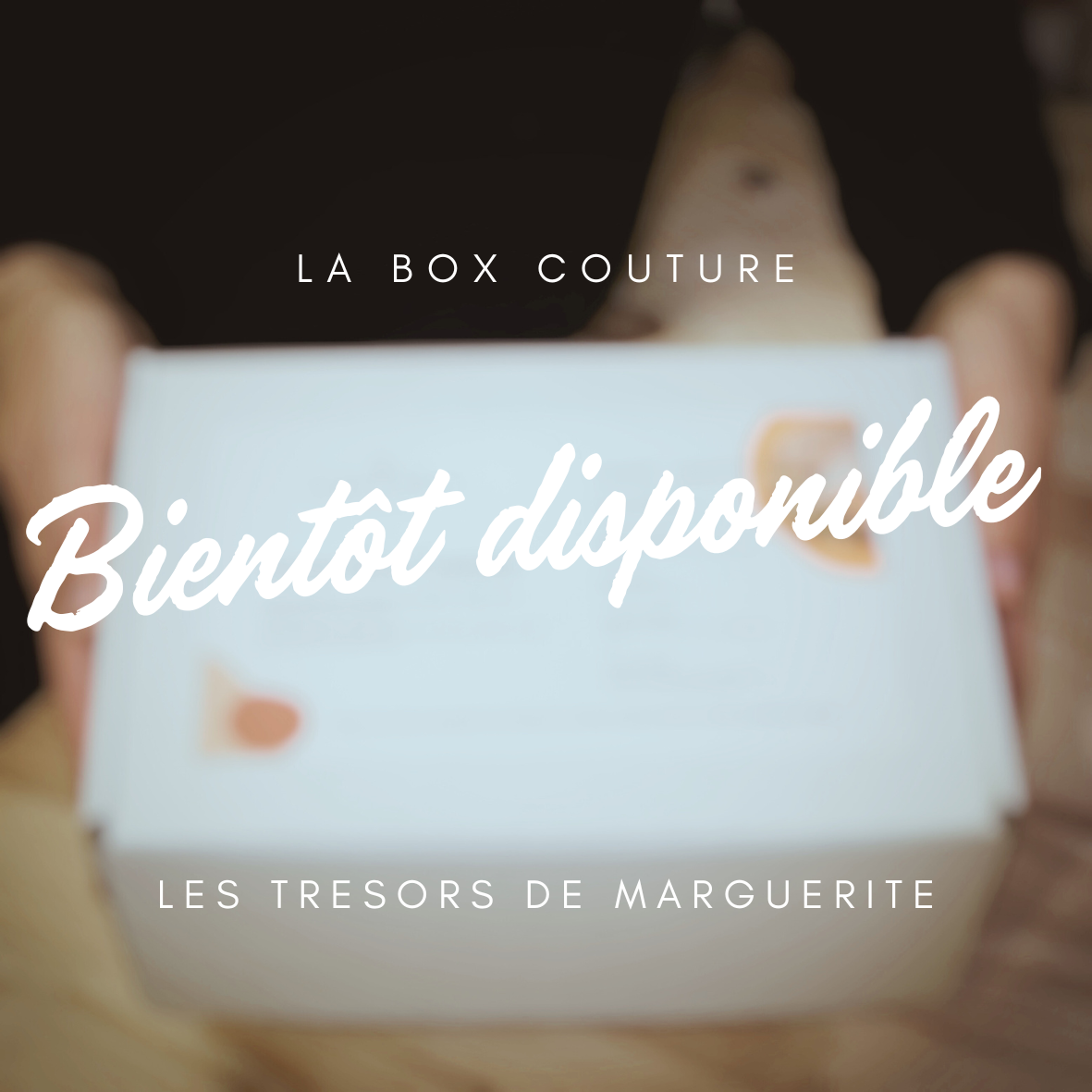 Bouillotte graine de lin